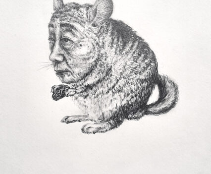 Chinchilla body with a human face holding a raisin.